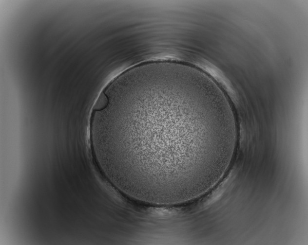 X0000094951234200712061245