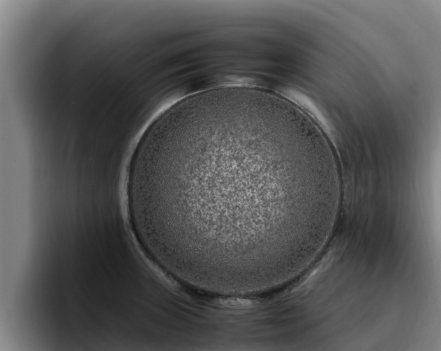 X0000094951235200712061245