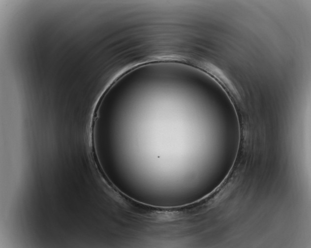 X0000094951236200712061245