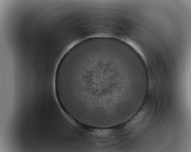 X0000094951237200712061245