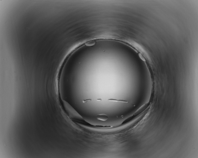 X0000094951238200712061245