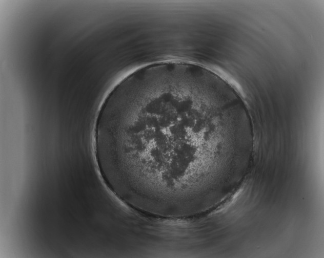 X0000094951239200712061245