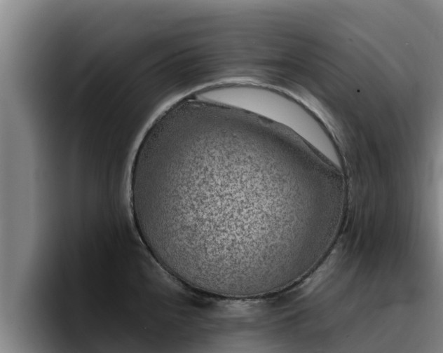 X0000094951240200712061245