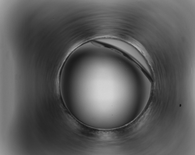 X0000094951242200712061245