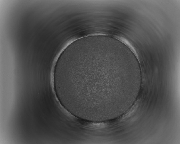 X0000094951243200712061245