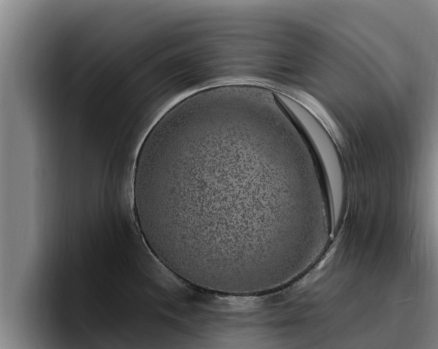 X0000094951244200712061245