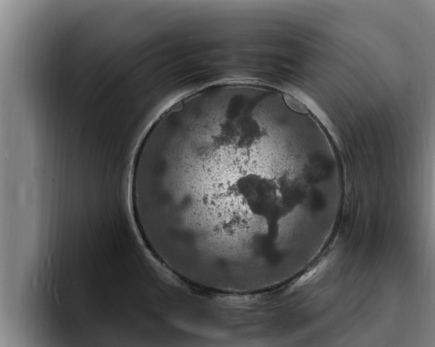 X0000094951245200712061245