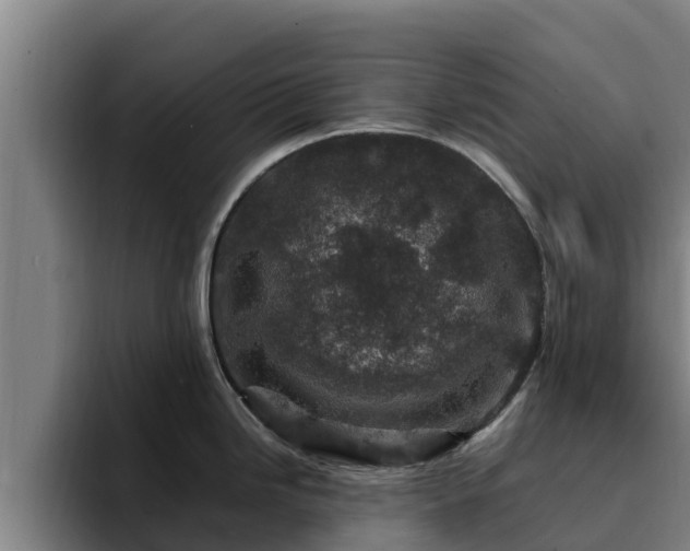 X0000094951246200712061245