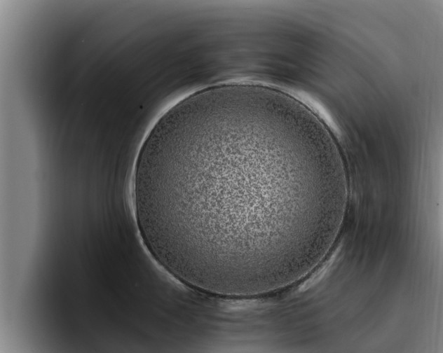 X0000094951247200712061245