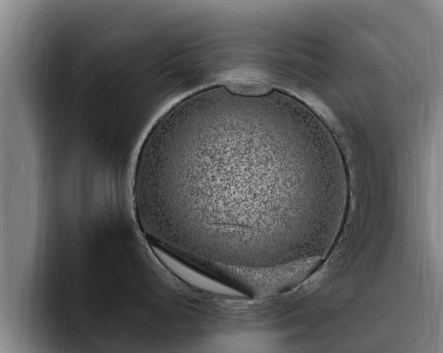 X0000094951248200712061245