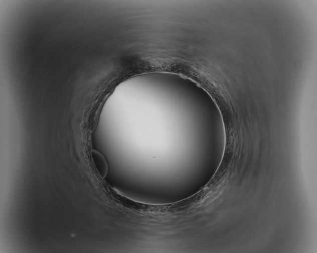 X0000094951249200712061244