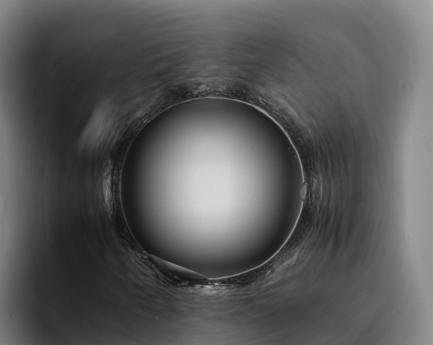 X0000094951250200712061244