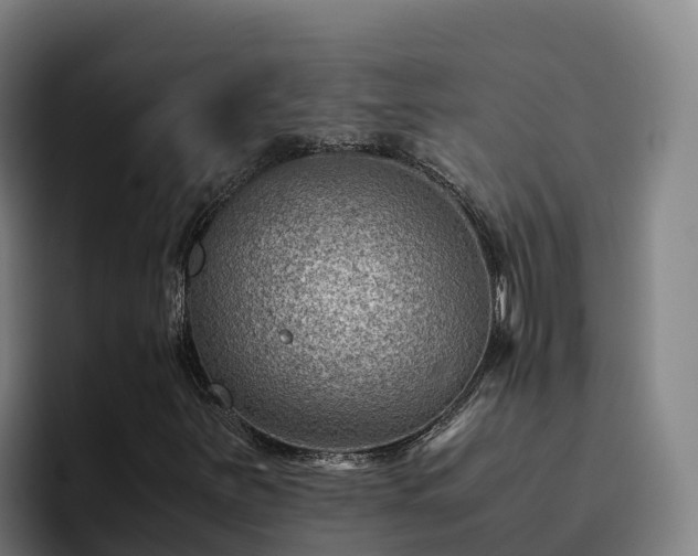 X0000094951251200712061244