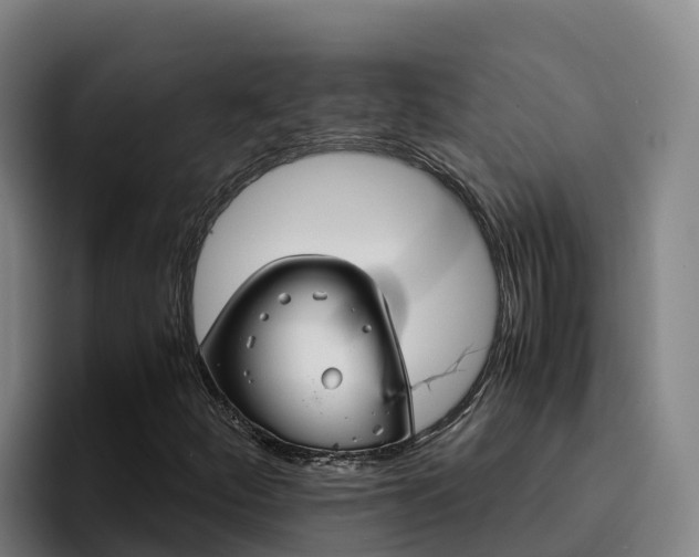 X0000094951252200712061244