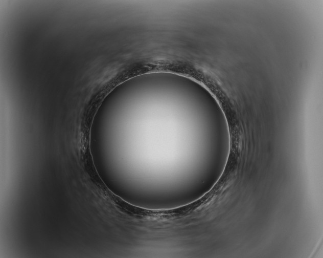 X0000094951253200712061244