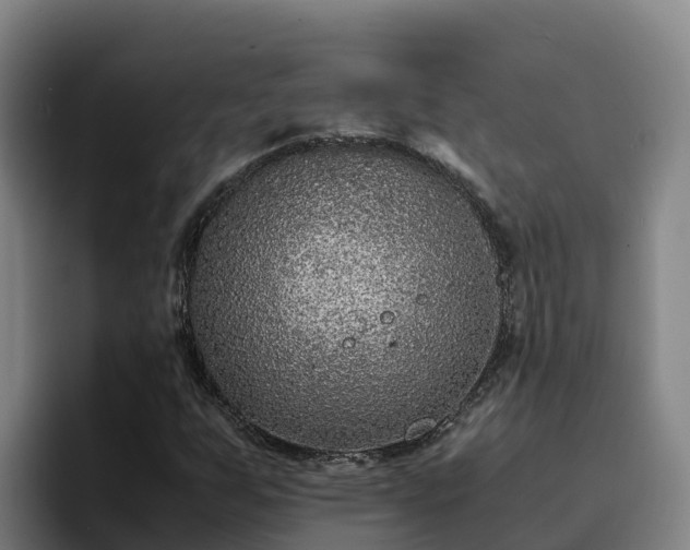 X0000094951255200712061244