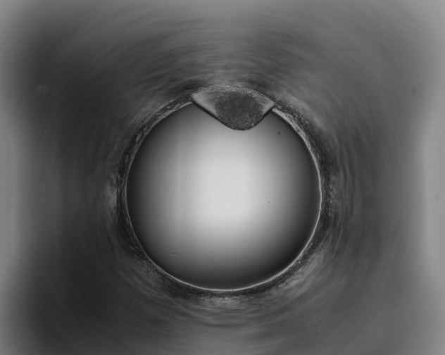 X0000094951257200712061244