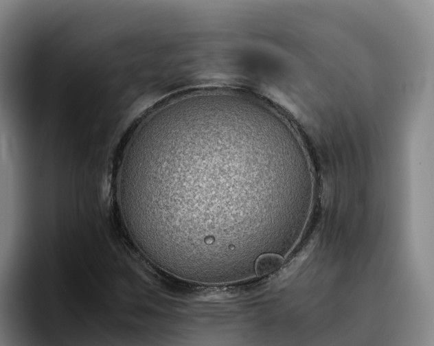 X0000094951259200712061244