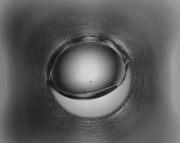 X0000094951261200712061244