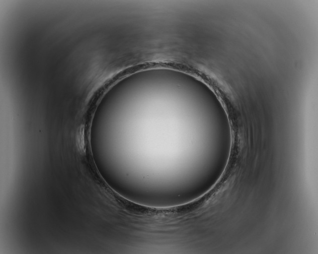 X0000094951262200712061244