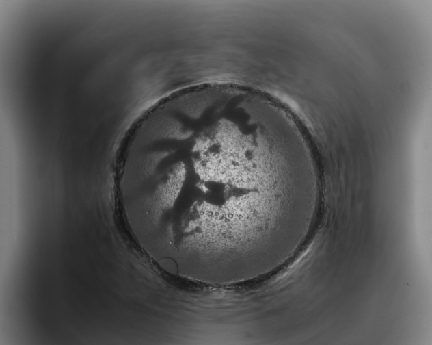 X0000094951263200712061244