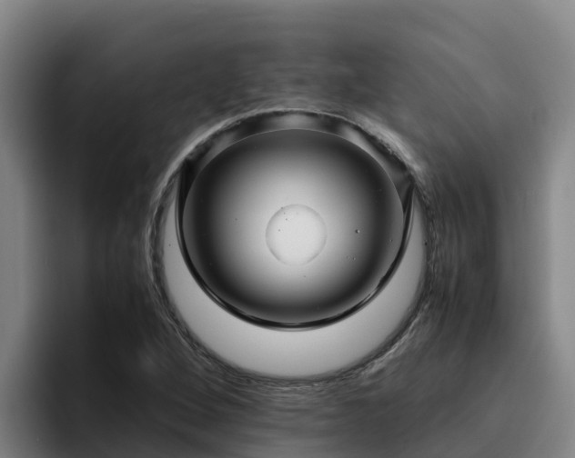 X0000094951264200712061244