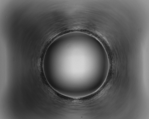 X0000094951265200712061244