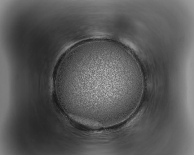 X0000094951267200712061244