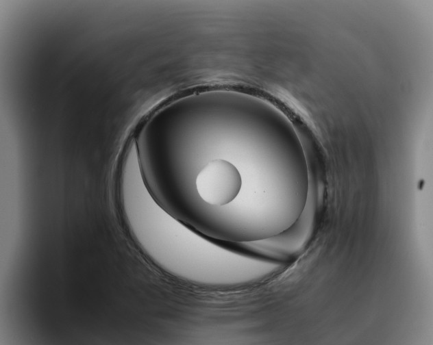 X0000094951269200712061244