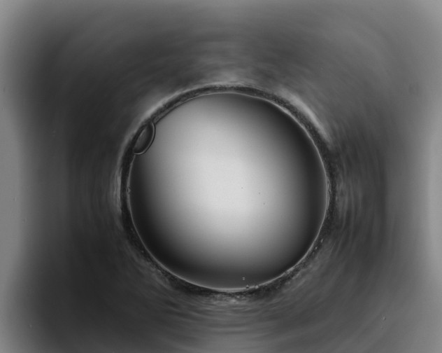 X0000094951270200712061244