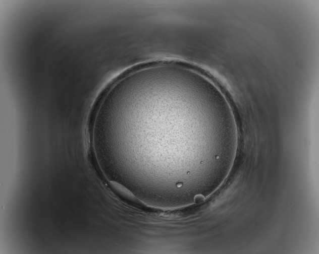 X0000094951271200712061244