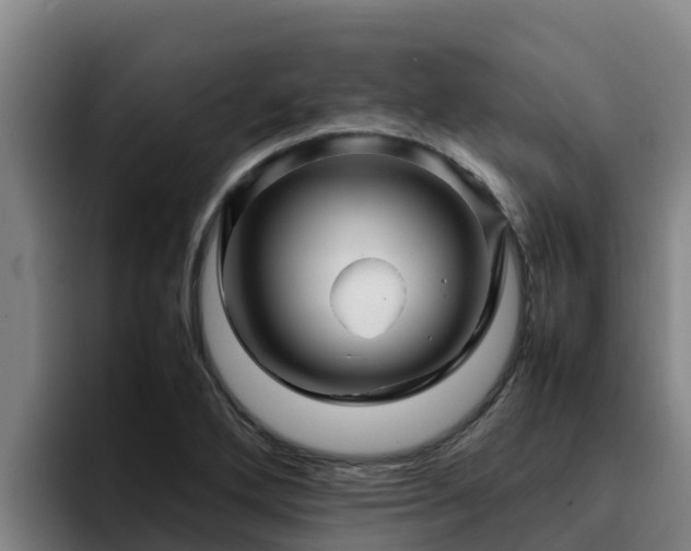 X0000094951272200712061244