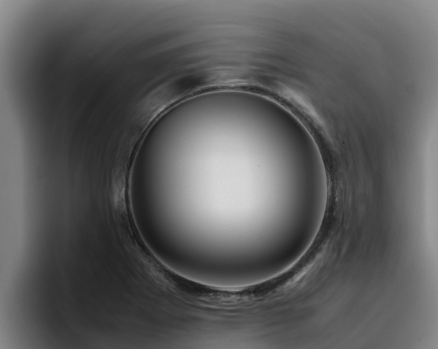 X0000094951273200712061244