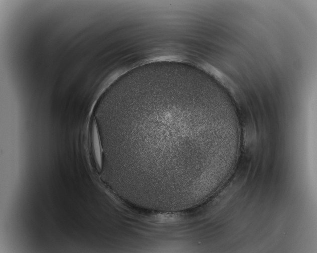 X0000094951274200712061244