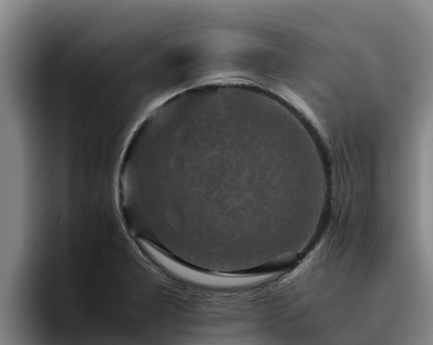 X0000094951277200712061244