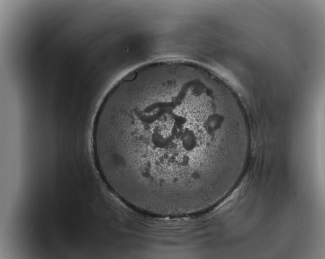 X0000094951279200712061244