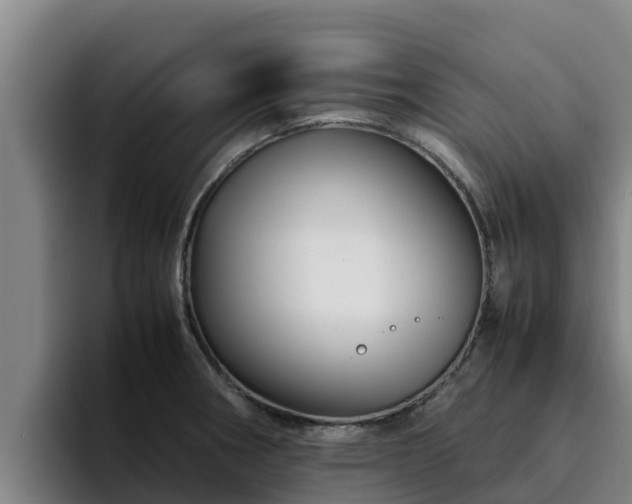 X0000094951282200712061244