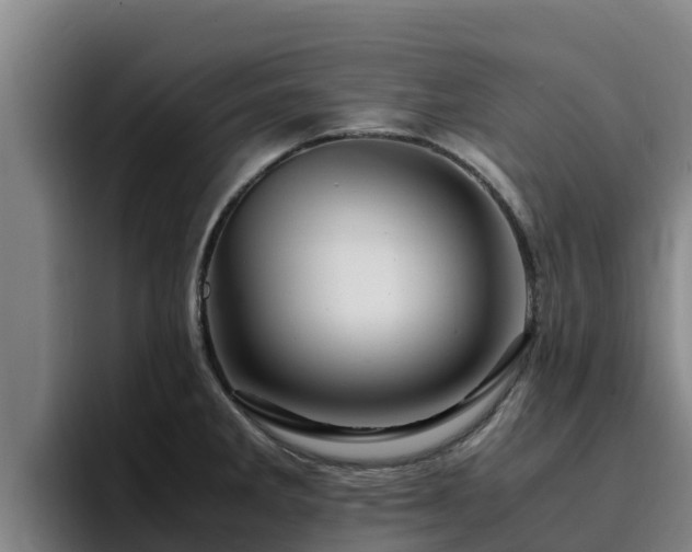 X0000094951285200712061244