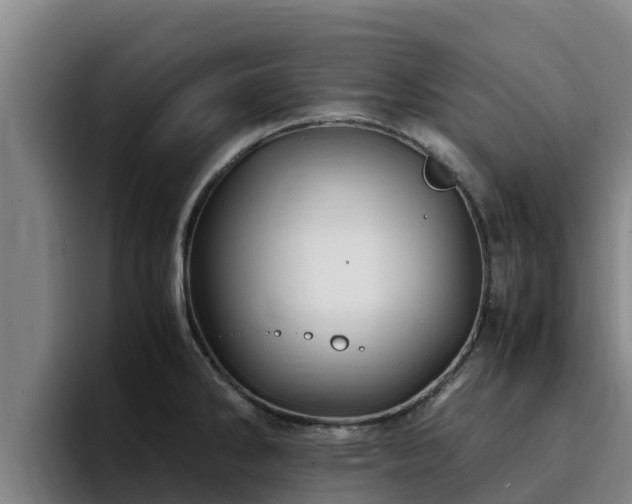 X0000094951286200712061244