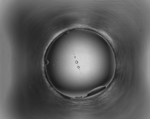 X0000094951287200712061244