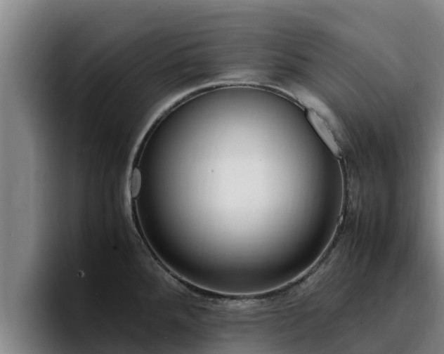 X0000094951288200712061244