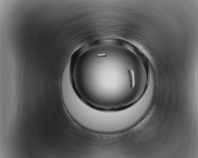 X0000094951289200712061244