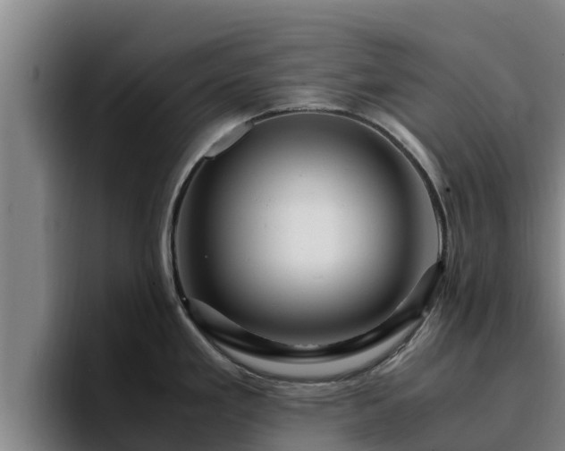 X0000094951293200712061244