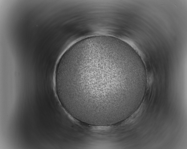 X0000094951294200712061244