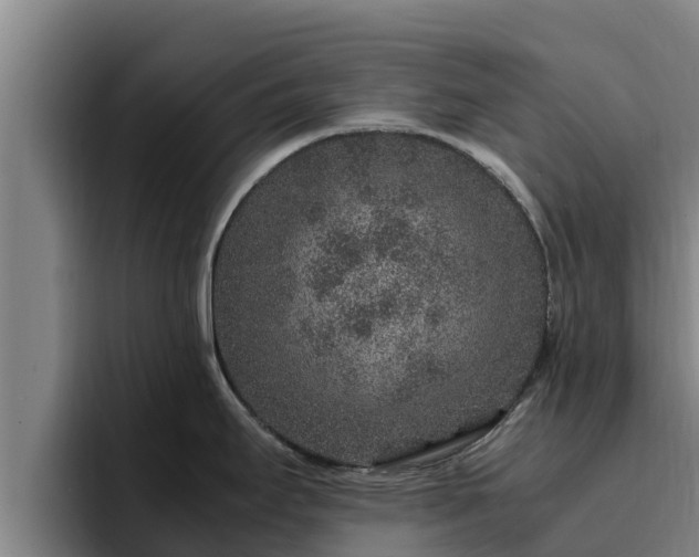 X0000094951295200712061244