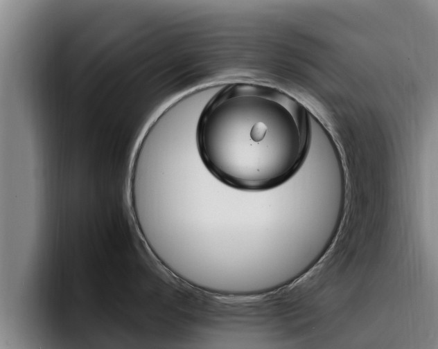 X0000094951296200712061244