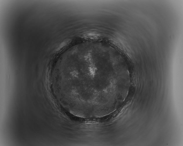 X0000094951297200712061243