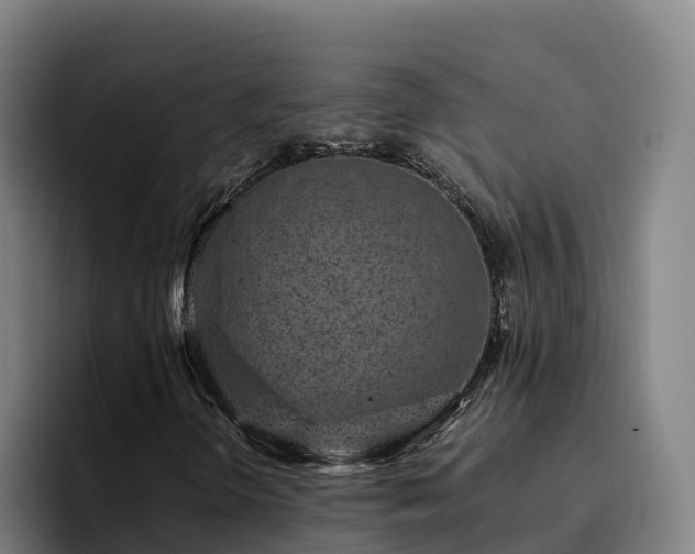 X0000094951298200712061243