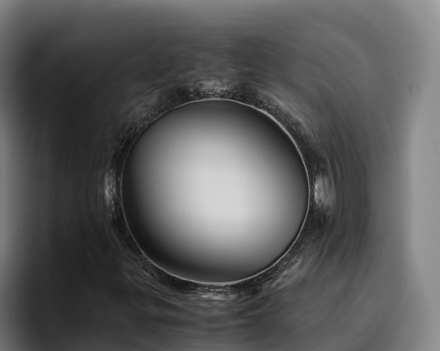 X0000094951299200712061243