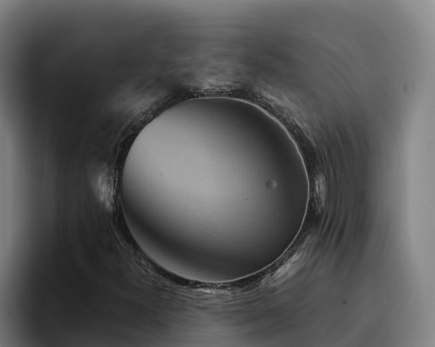 X0000094951300200712061243